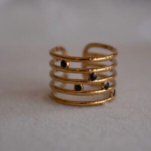 Anillo Pau