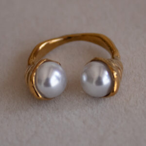 Anillo terra