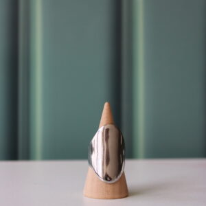 Anillo Gato