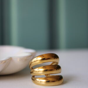 Anillo Trama