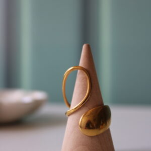Anillo Selva