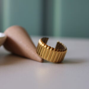 Anillo Barotes