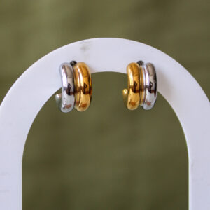 Aretes bicolor