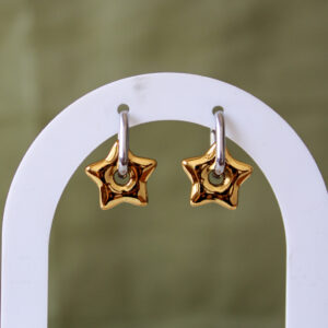 Aretes shiny