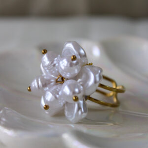 Anillo pau