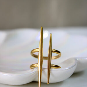 Anillo Barotes