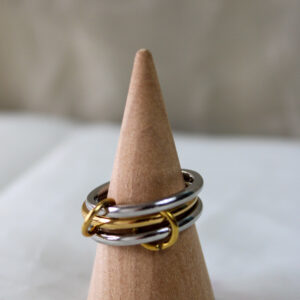Anillo Garza